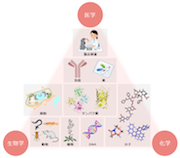 生物分子科学科イメージマップ