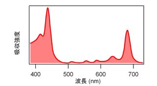 クロロフィルの可視吸収スペクトル